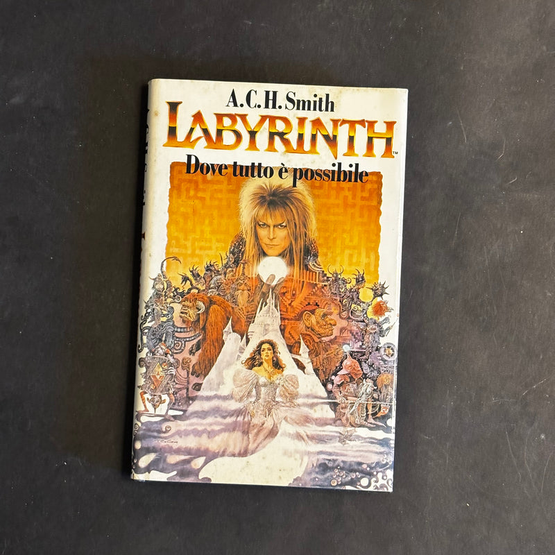 Labyrinth