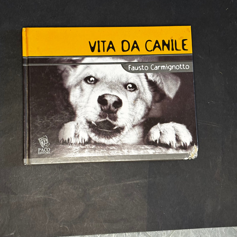 Vita da canile