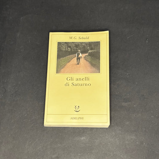 Gli anelli di Saturno