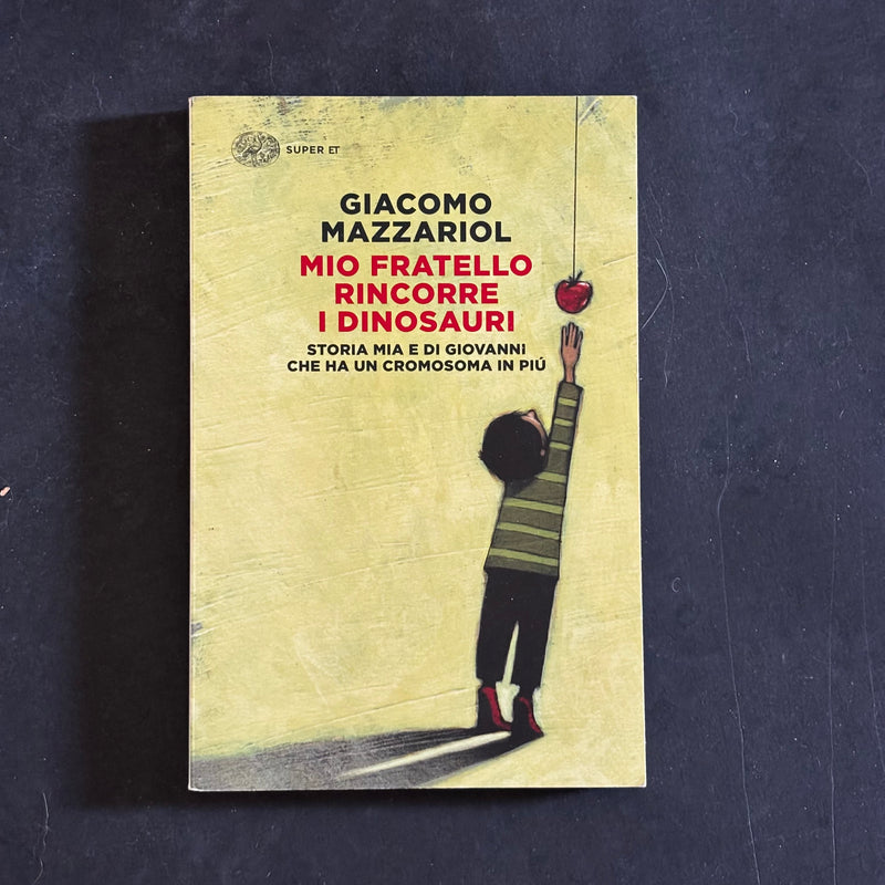 Mio fratello rincorre i dinosauri