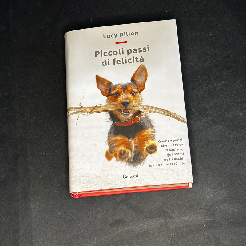 Piccoli passi di felicità
