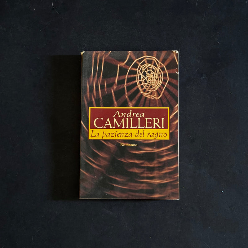 La pazienza del ragno