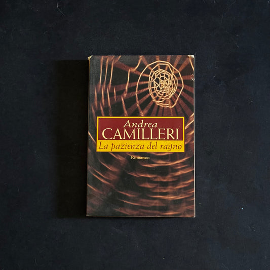 La pazienza del ragno