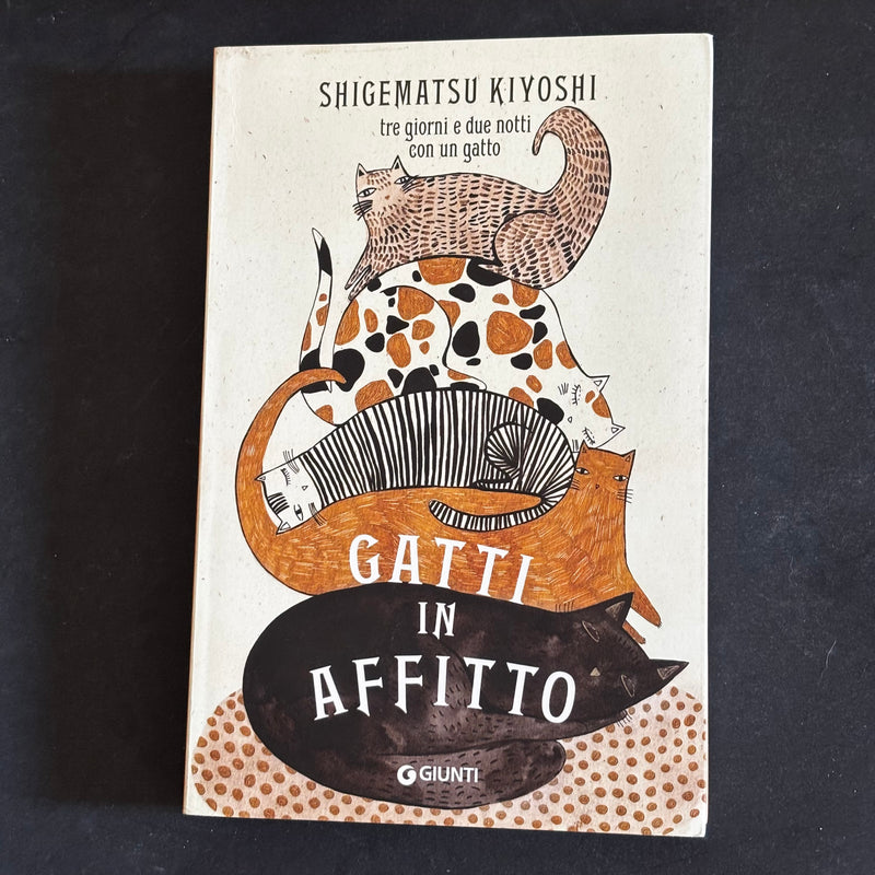 Gatti in affitto