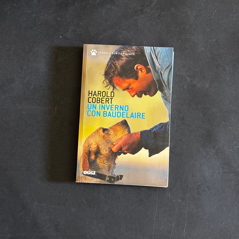 Un inverno con Baudelaire
