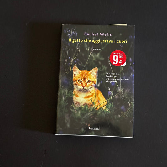 Il gatto che aggiustava i cuori