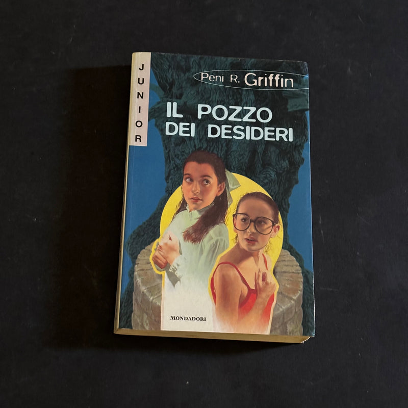 Il pozzo dei desideri