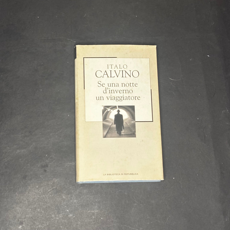 Se una notte d’inverno un viaggiatore