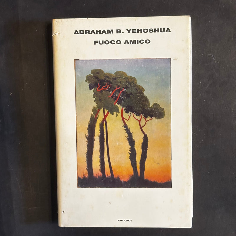 Fuoco amico