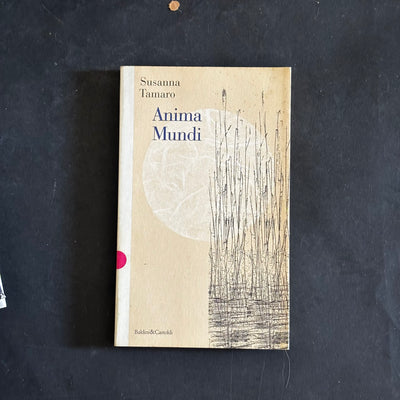 Anima mundi