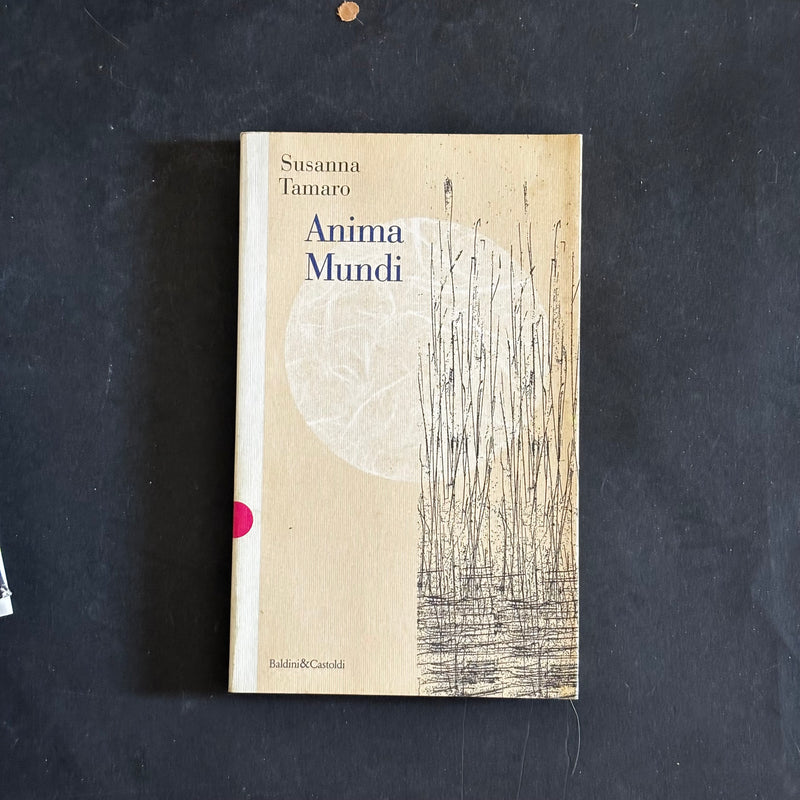Anima mundi