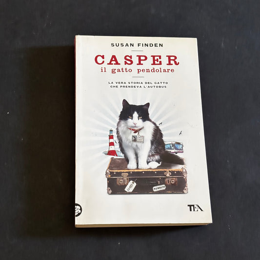 Casper il gatto pendolare