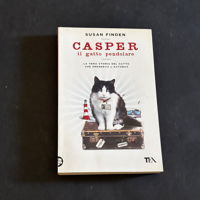 Casper il gatto pendolare