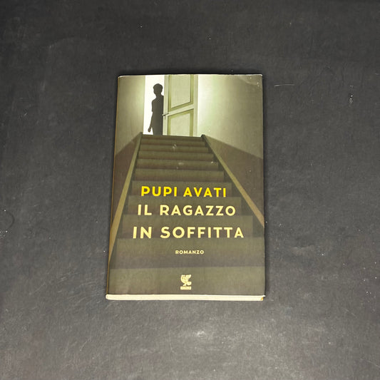 Il ragazzo in soffitta
