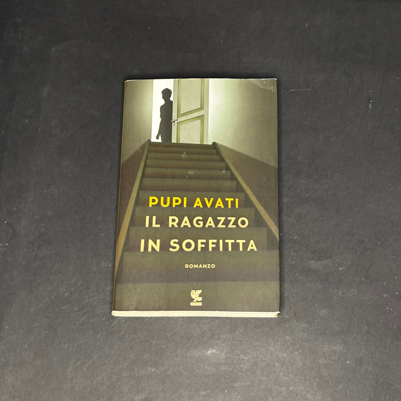 Il ragazzo in soffitta