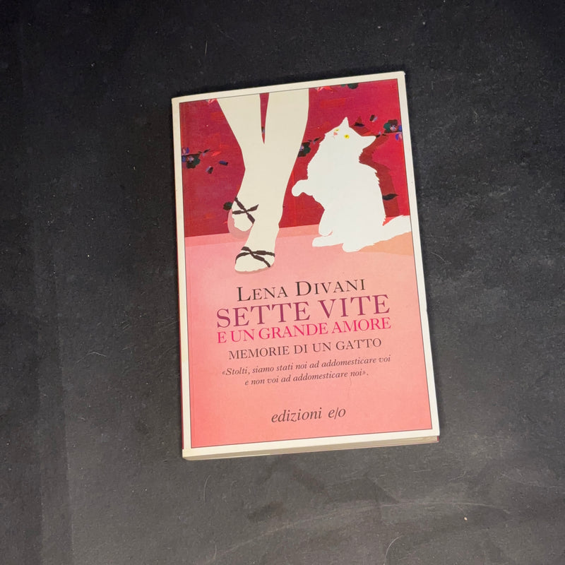 Sette vite e un grande amore