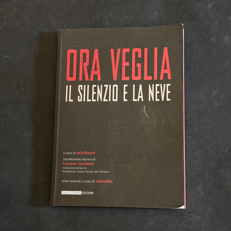 Ora veglia il silenzio e la neve