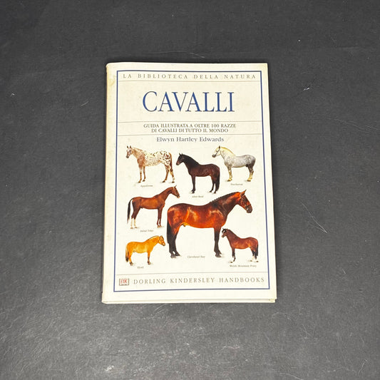 Cavalli