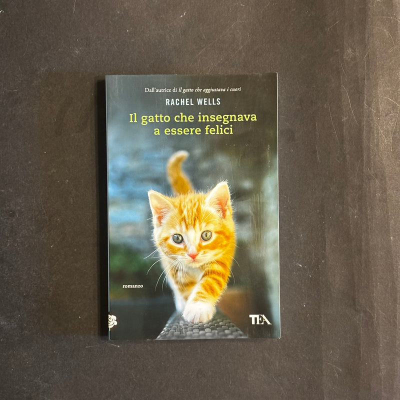Il gatto che insegnava a essere felici