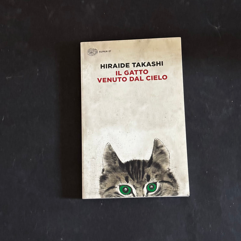 Il gatto venuto dal cielo