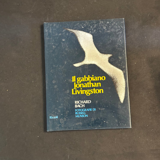 Il gabbiano jonathan Livingston