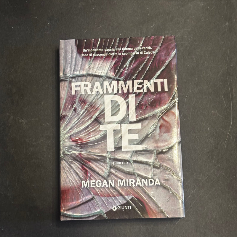 Frammenti di te