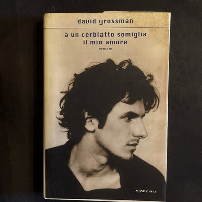 A un cerbiatto somiglia il mio amore