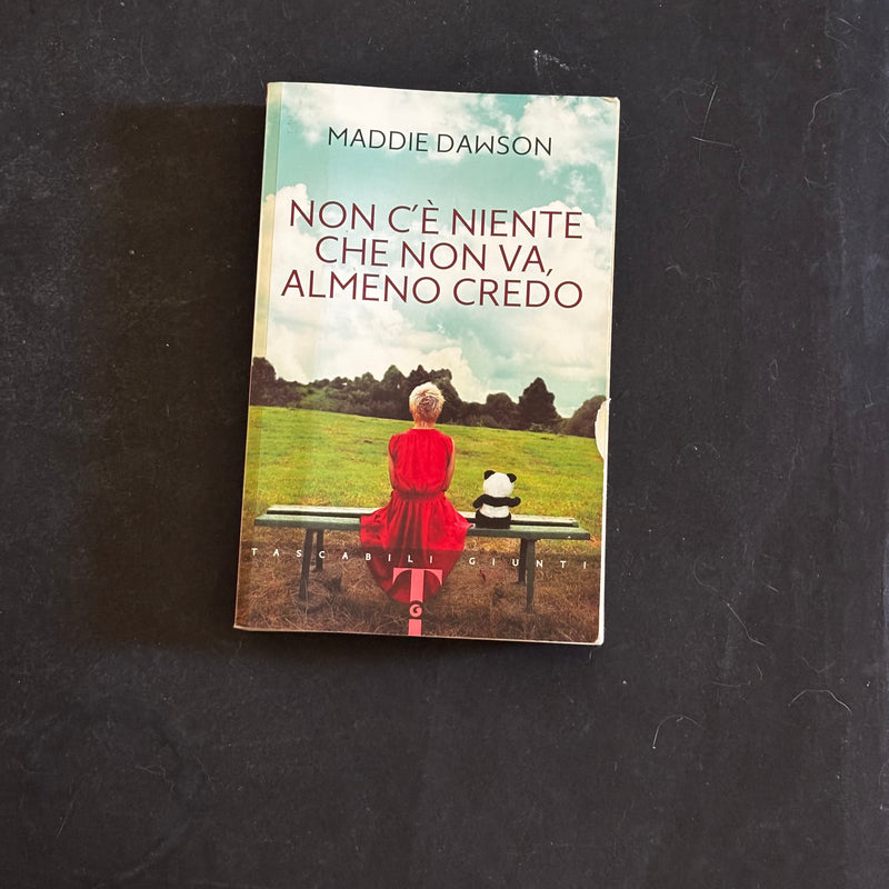 Non c’è niente che non va, almeno credo