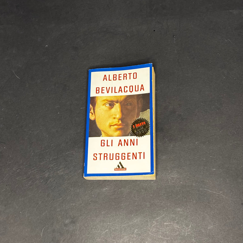 Gli anni struggenti