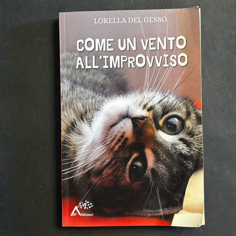Come un vento all’improvviso