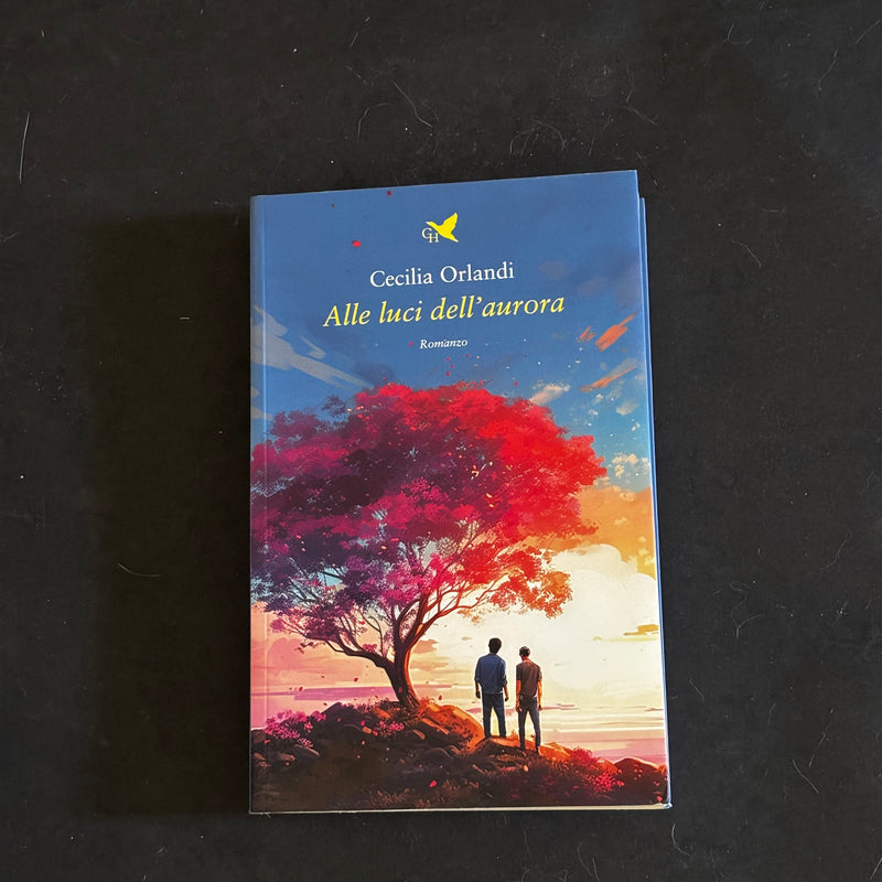 Alle luci dell’aurora