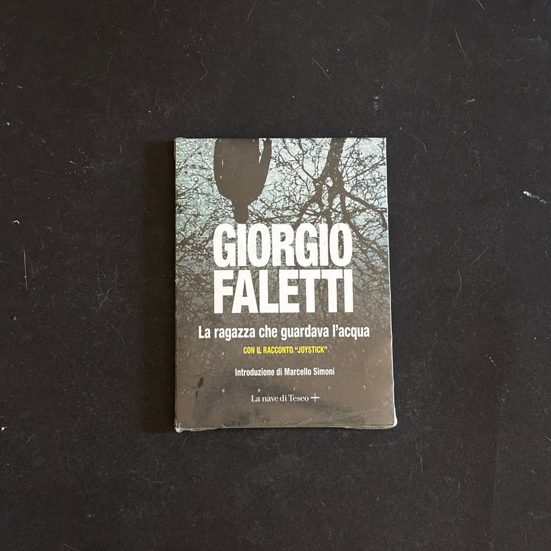 La ragazza che guardava l’acqua