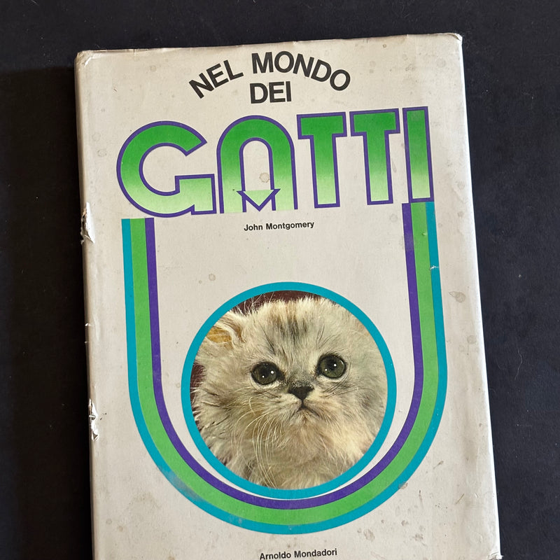Nel mondo dei gatti