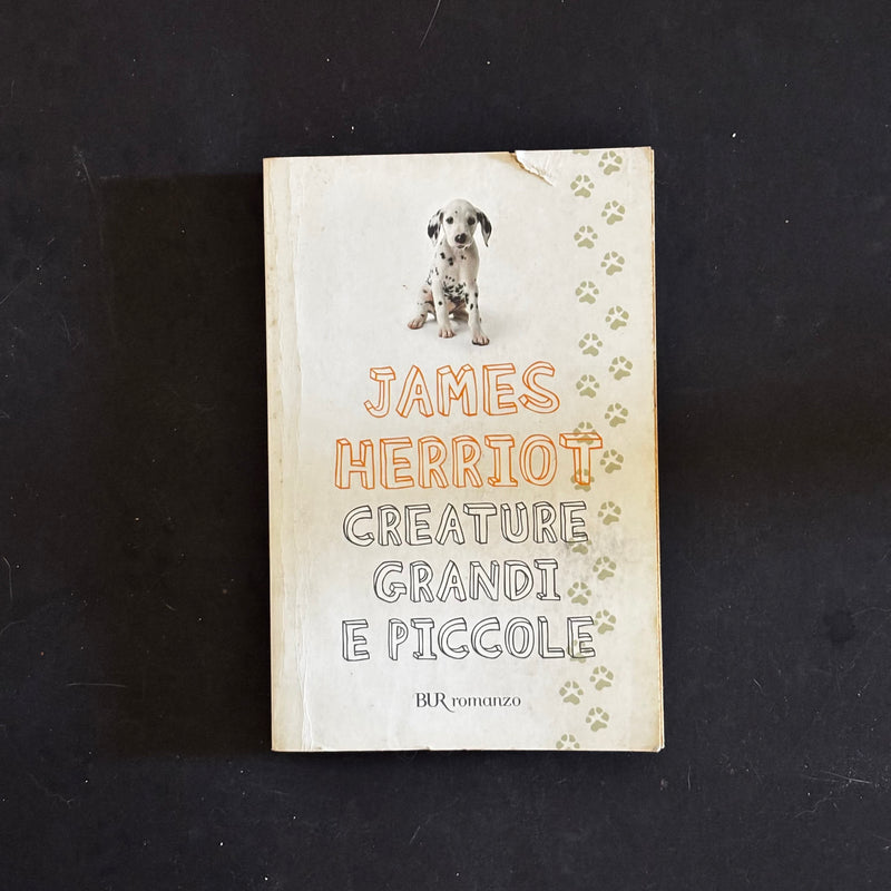 Creature grandi e piccole