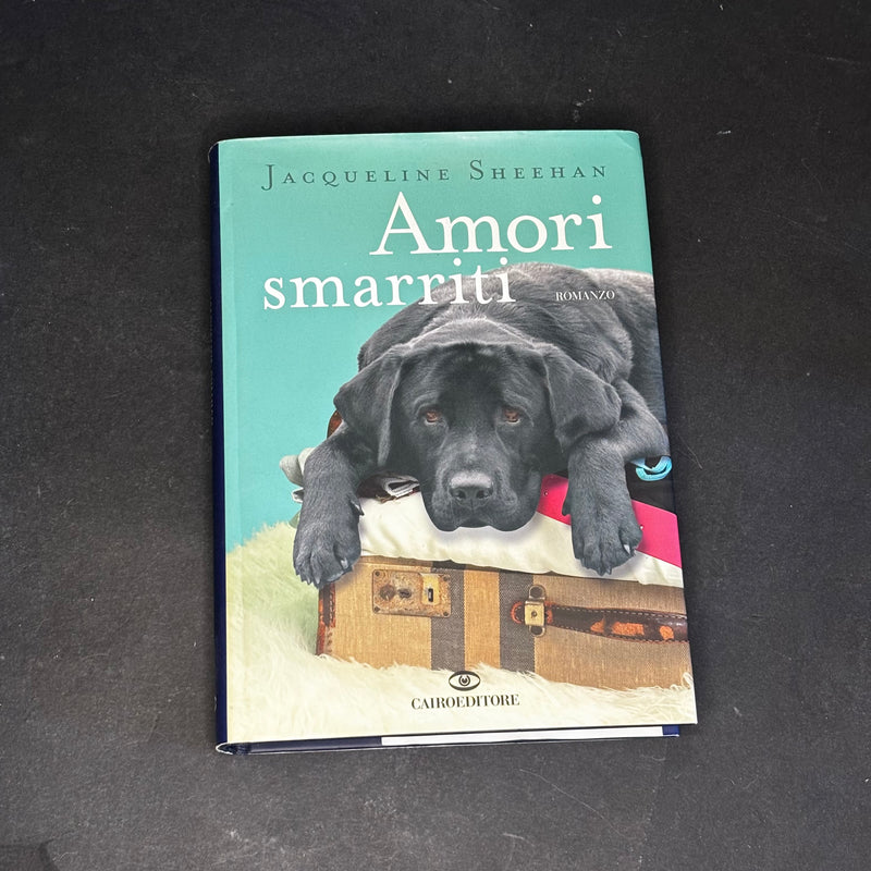 Amori smarriti