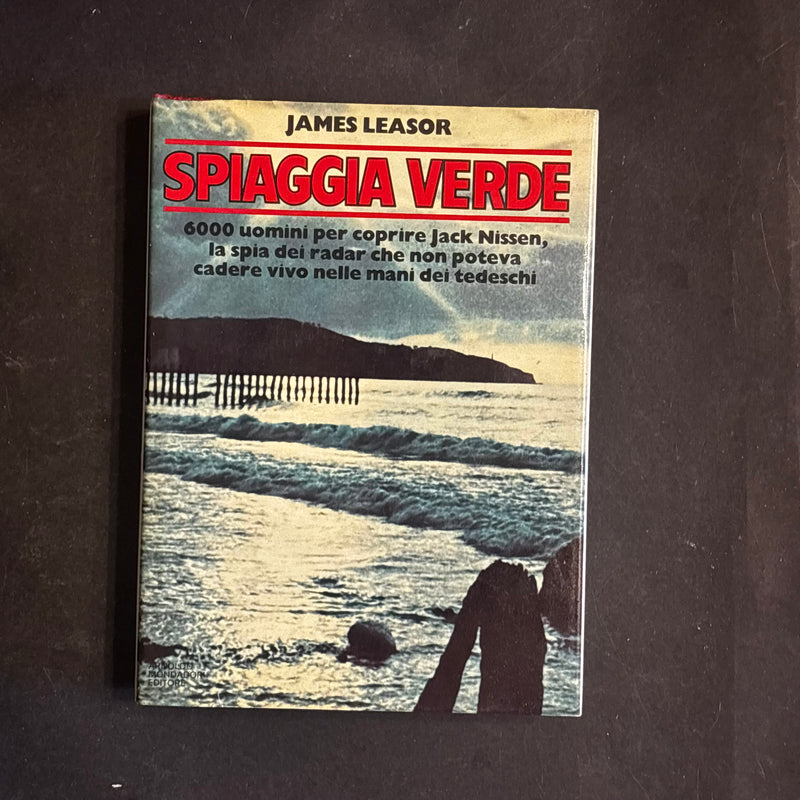 Spiaggia verde