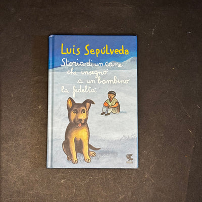 Storia di un cane che insegnò a un bambino la fedeltà