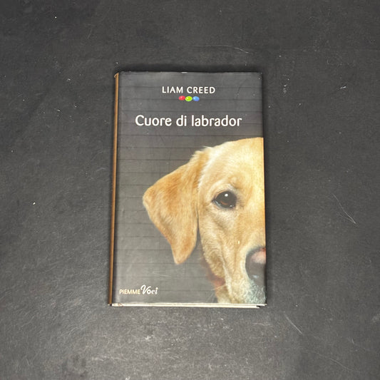 Cuore di Labrador
