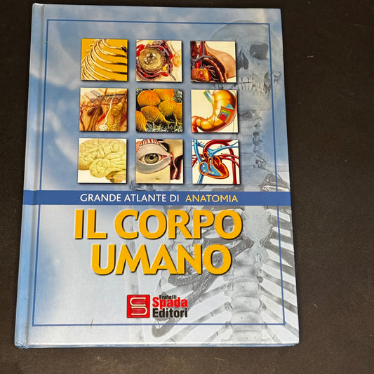 Il corpo umano