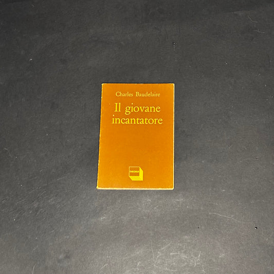 Il giovane incantatore