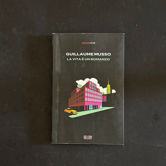 La vita è un romanzo
