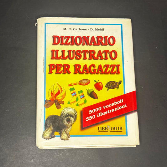 Dizionario illustrato per ragazzi