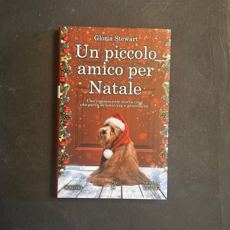 Un piccolo amico per Natale