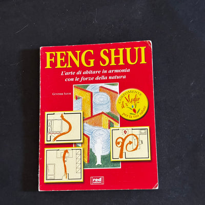 Feng Shui l arte di abitare in armonia con le forze della natura