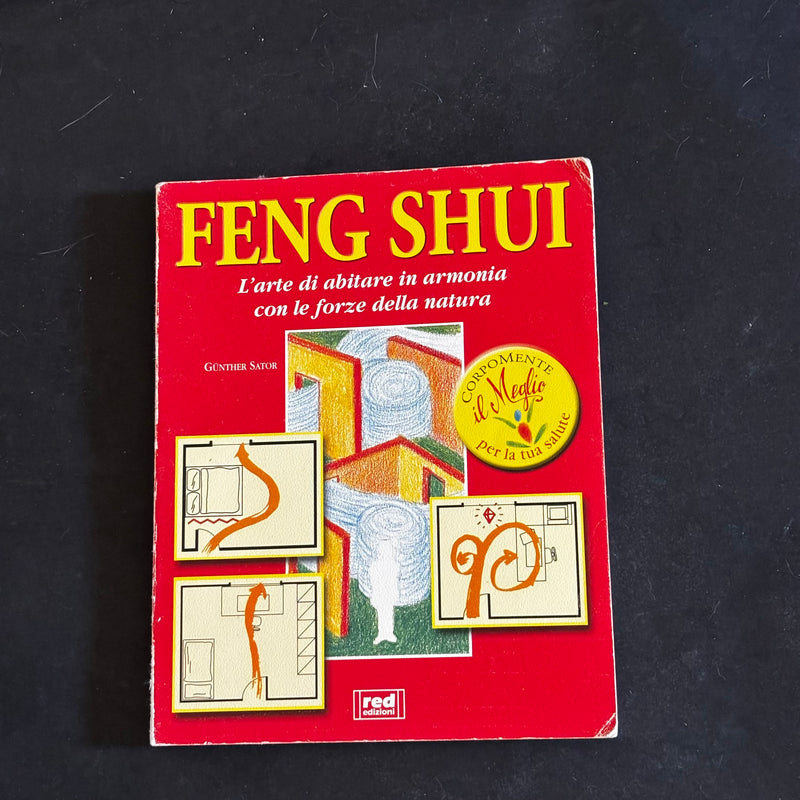 Feng Shui l arte di abitare in armonia con le forze della natura