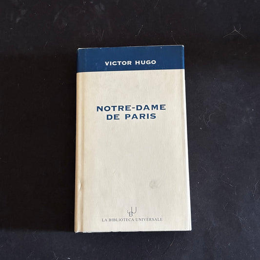 Notre dame de Paris