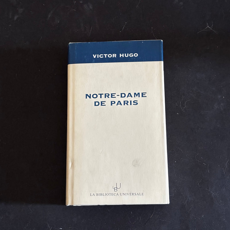 Notre dame de Paris