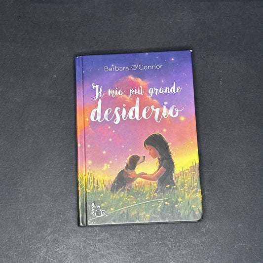 Il mio piu grande desiderio