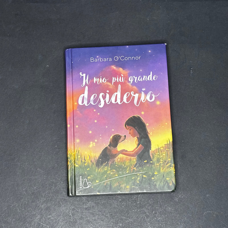 Il mio piu grande desiderio