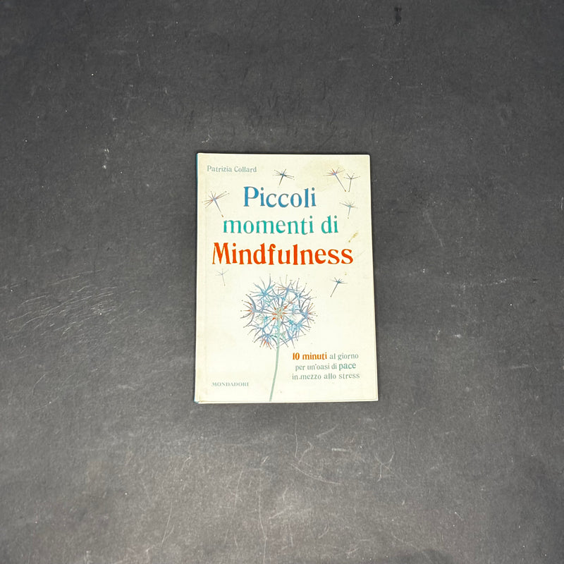 Piccoli momenti di Mindfulness